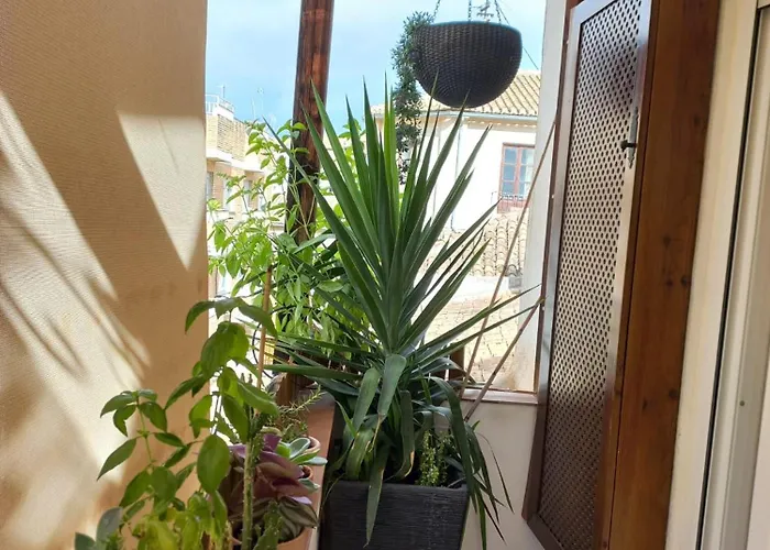 Atico Exclusivo En El Centro De Granada