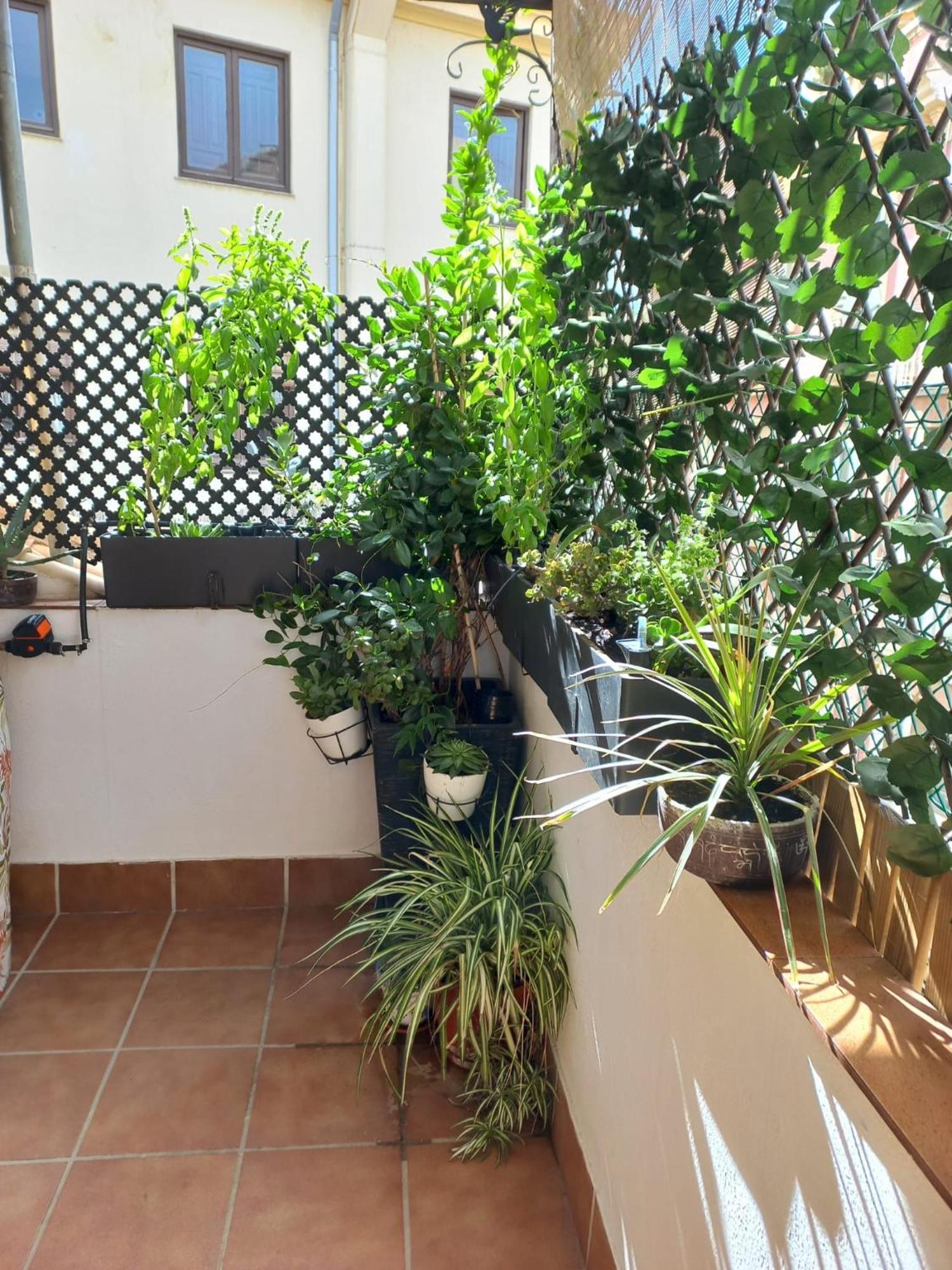 Atico Exclusivo En El Centro De Apartament Grenada